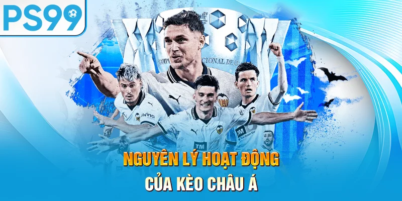 Nguyen-ly-hoat-dong-cua-keo-chau-a